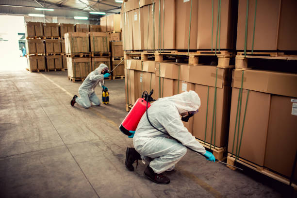 Best Mosquito Control Services  in Marion, SC