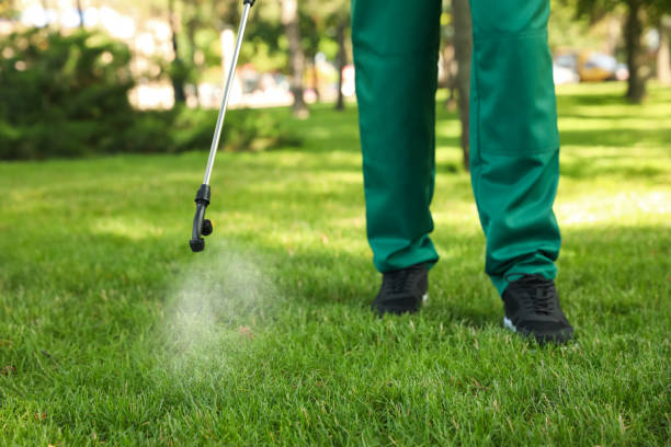 Best Wasp Removal Services  in Marion, SC