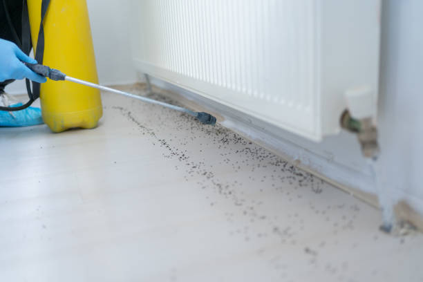 Best Exterminator Services  in Marion, SC