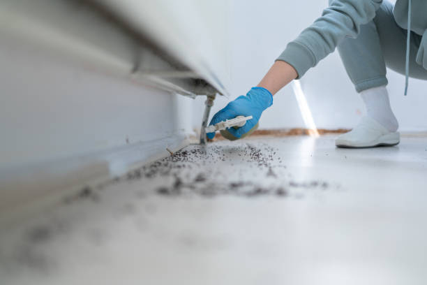 Best Wildlife Control Services  in Marion, SC